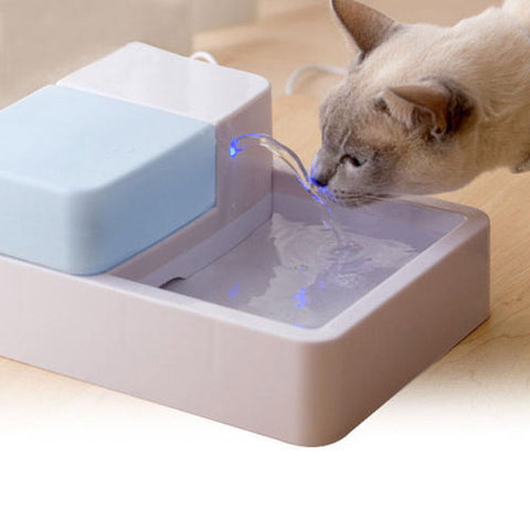 Automatic Pets Water Bowl with LED light Dogs Cats